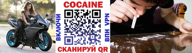 Купить закладки  Билибино  COCAIN 99% 